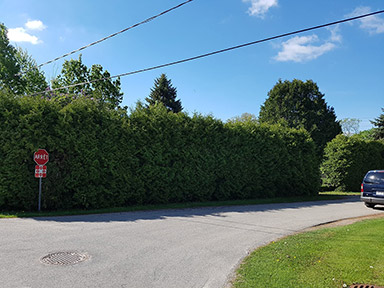 Coupe Haie Deux-Montagnes