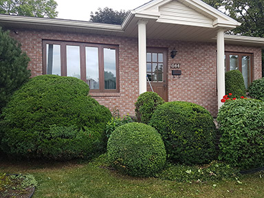 Taille Haie Pointe-Calumet